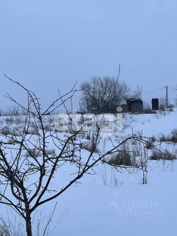 Участок в Белгородская область, Белгородский район, Тавровское с/пос, ... - Фото 1