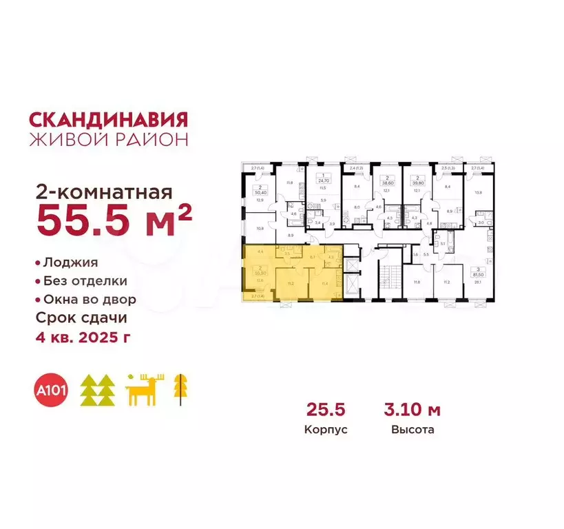 2-к. квартира, 55,5 м, 2/12 эт. - Фото 1