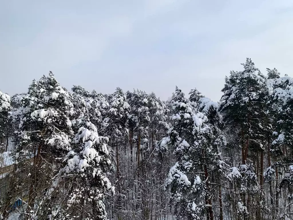 Свободной планировки кв. Московская область, Одинцовский городской ... - Фото 1