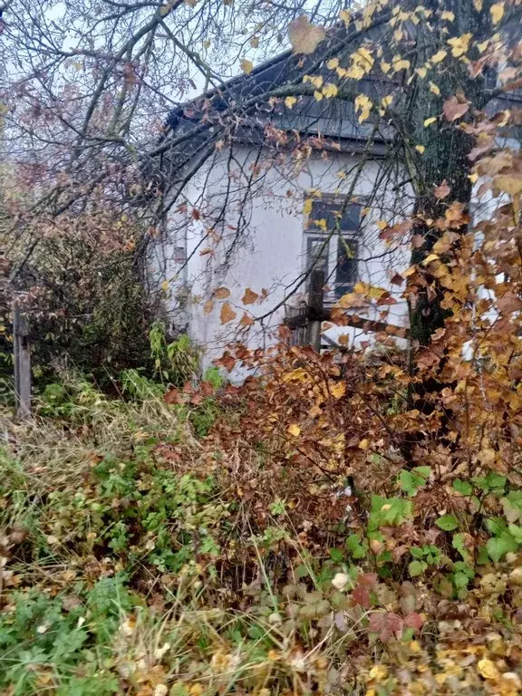 Дом в Новгородская область, Старая Русса Взвадская ул. (50 м) - Фото 2