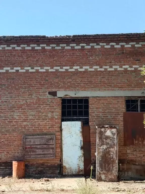 Помещение свободного назначения в Краснодарский край, Славянский ... - Фото 1