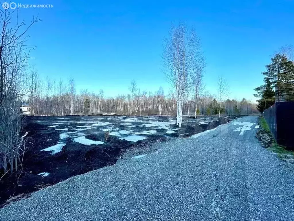 Участок в Тюменский муниципальный округ, СНТ Подъём (26.8 м) - Фото 1