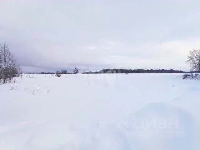 Участок в Кировская область, Кирово-Чепецкий район, Кстининское с/пос, ... - Фото 1