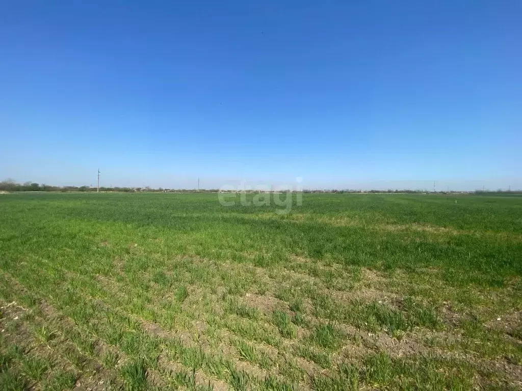 Участок в Краснодарский край, Ейск  (6.0 сот.) - Фото 1