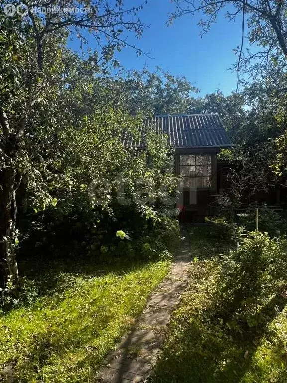 Участок в Московская область, Богородский городской округ, СНТ ... - Фото 0
