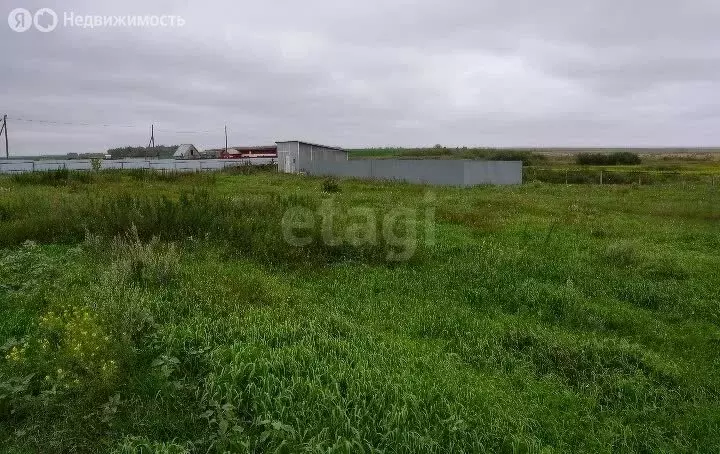 Участок в Казанский район, деревня Шадринка, Зелёная улица (50 м) - Фото 0