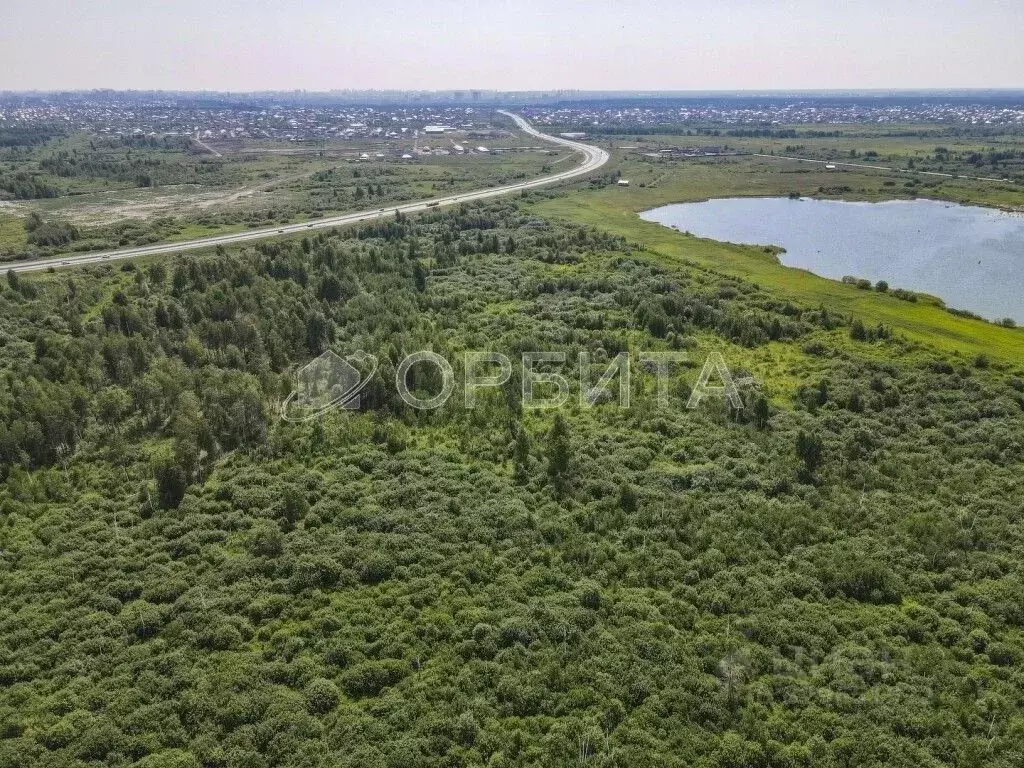 Участок в Тюменская область, Тюмень Березняки СНТ,  (10.0 сот.) - Фото 2