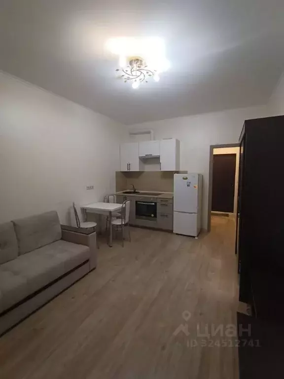 Студия Московская область, Солнечногорск городской округ, Голубое пгт ... - Фото 1