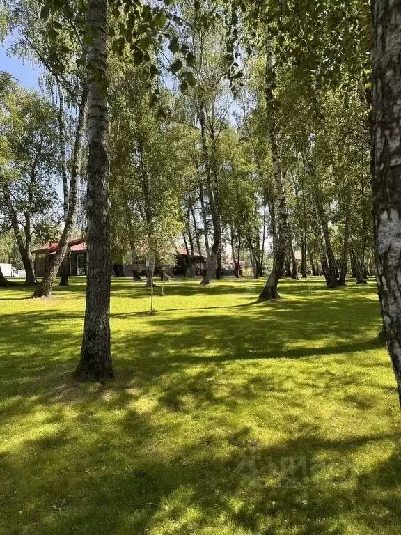 Участок в Московская область, Наро-Фоминский городской округ, Ямполь ... - Фото 2