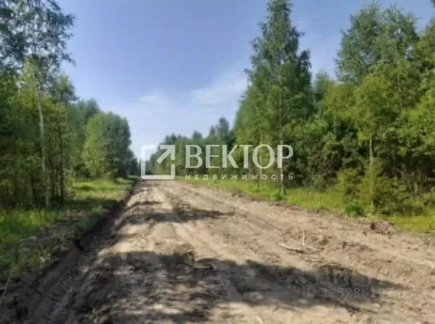 Участок в Ивановская область, Лежневское с/пос, д. Мальчиха  (10.0 ... - Фото 2