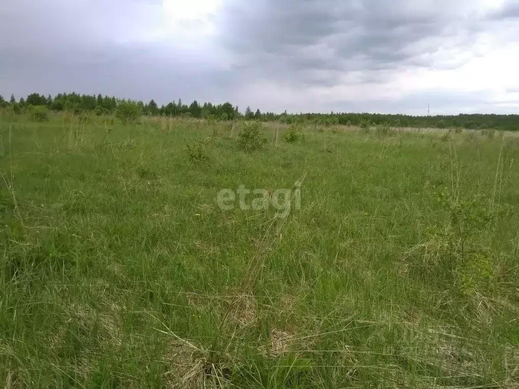 Участок в Калужская область, Калуга городской округ, д. Березовка ул. ... - Фото 0