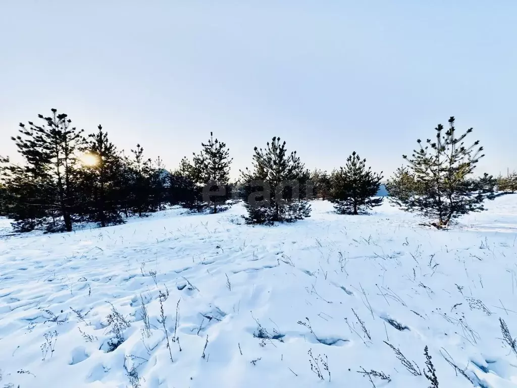 Участок в Забайкальский край, Чита Светлый мкр, 100 (23.51 сот.) - Фото 2