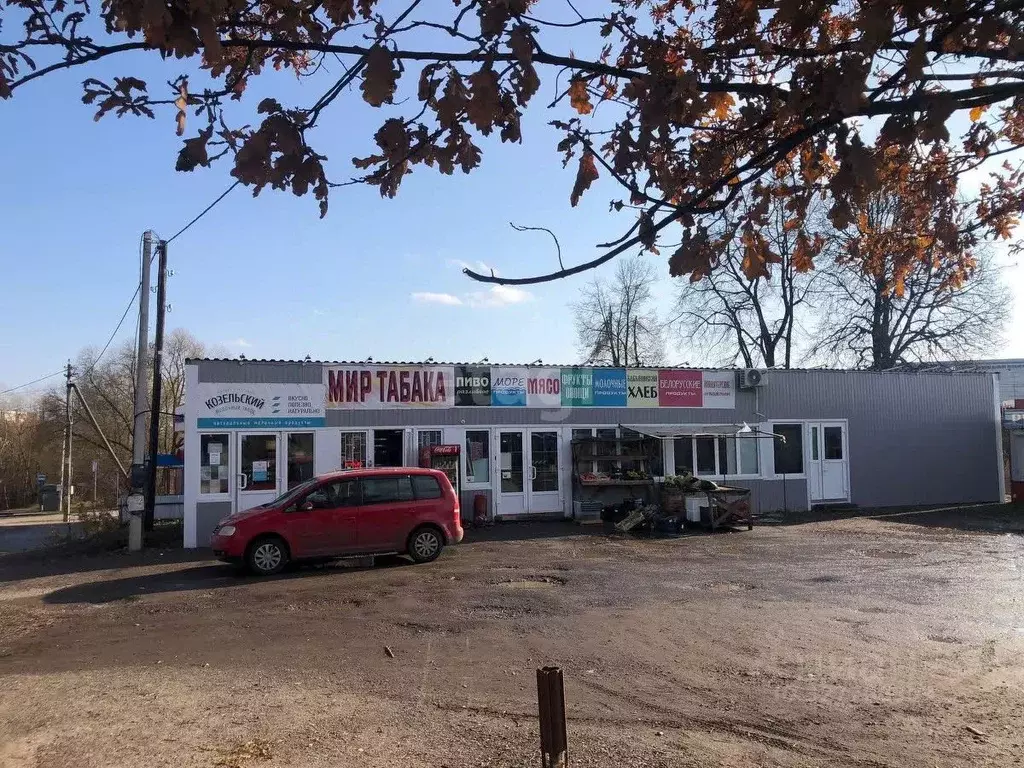 Торговая площадь в Калужская область, Калуга Турынино мкр, ул. ... - Фото 1
