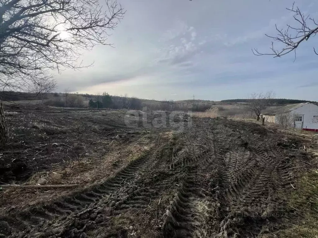 Участок в Крым, Симферопольский район, Трудовское с/пос, с. Денисовка ... - Фото 1