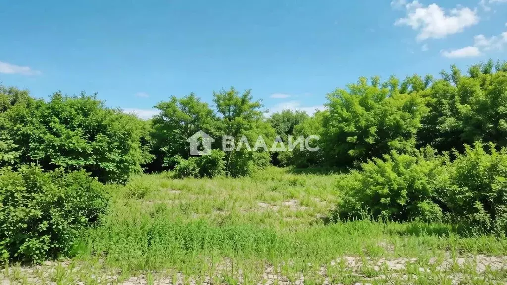 Участок в Нижегородская область, Нижний Новгород городской округ, д. ... - Фото 1
