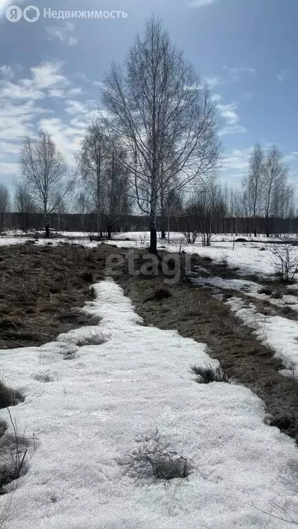 Участок в Мошковский район, село Сокур (6 м) - Фото 1