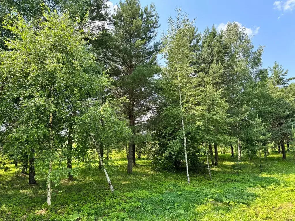 Участок в Московская область, Пушкино Новая Деревня мкр, Центральная ... - Фото 2