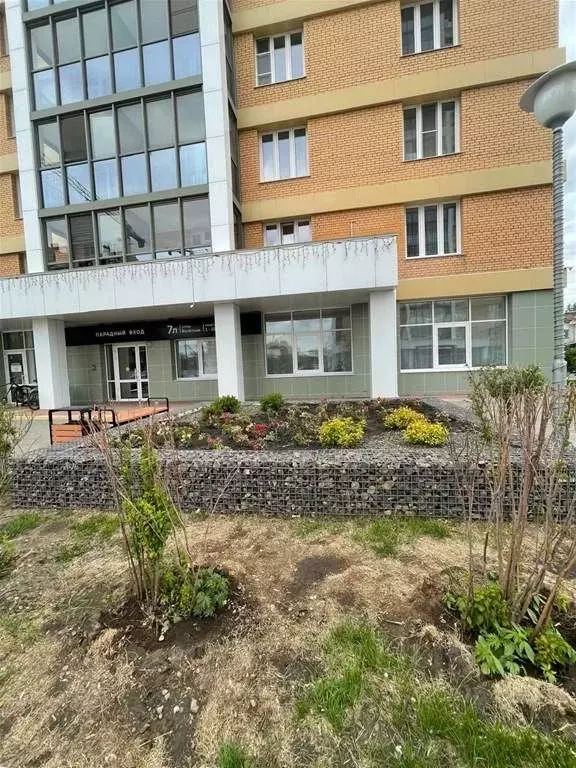 Студия Красноярский край, Красноярск Взлетная ул., 7Л (33.5 м) - Фото 2