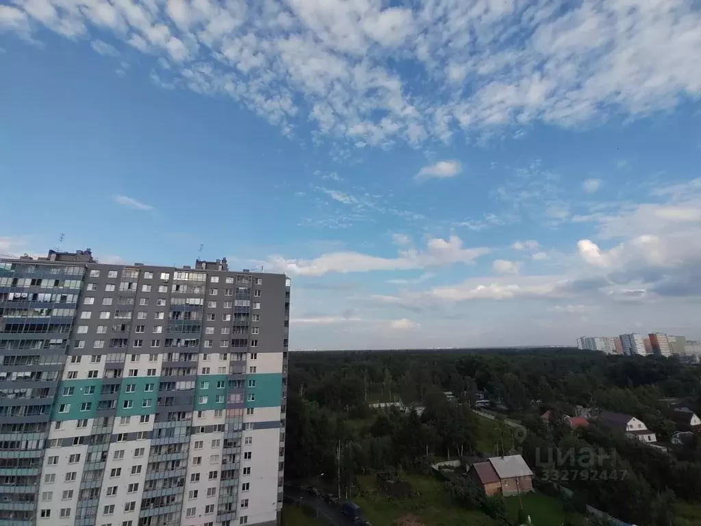 1-к кв. Санкт-Петербург ул. Корнея Чуковского, 5к3 (42.1 м) - Фото 2