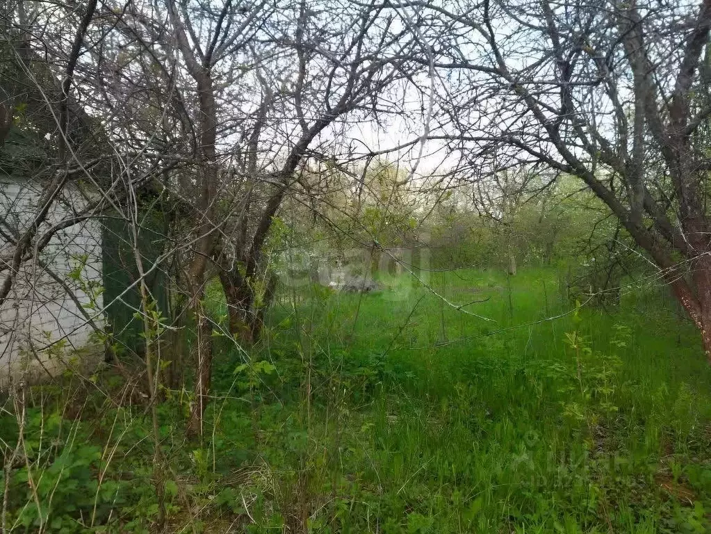 Участок в Нижегородская область, Сергач Светлый ключ садовое ... - Фото 1