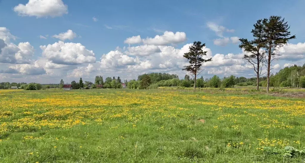Участок в Тверская область, Калининский муниципальный округ, д. ... - Фото 0