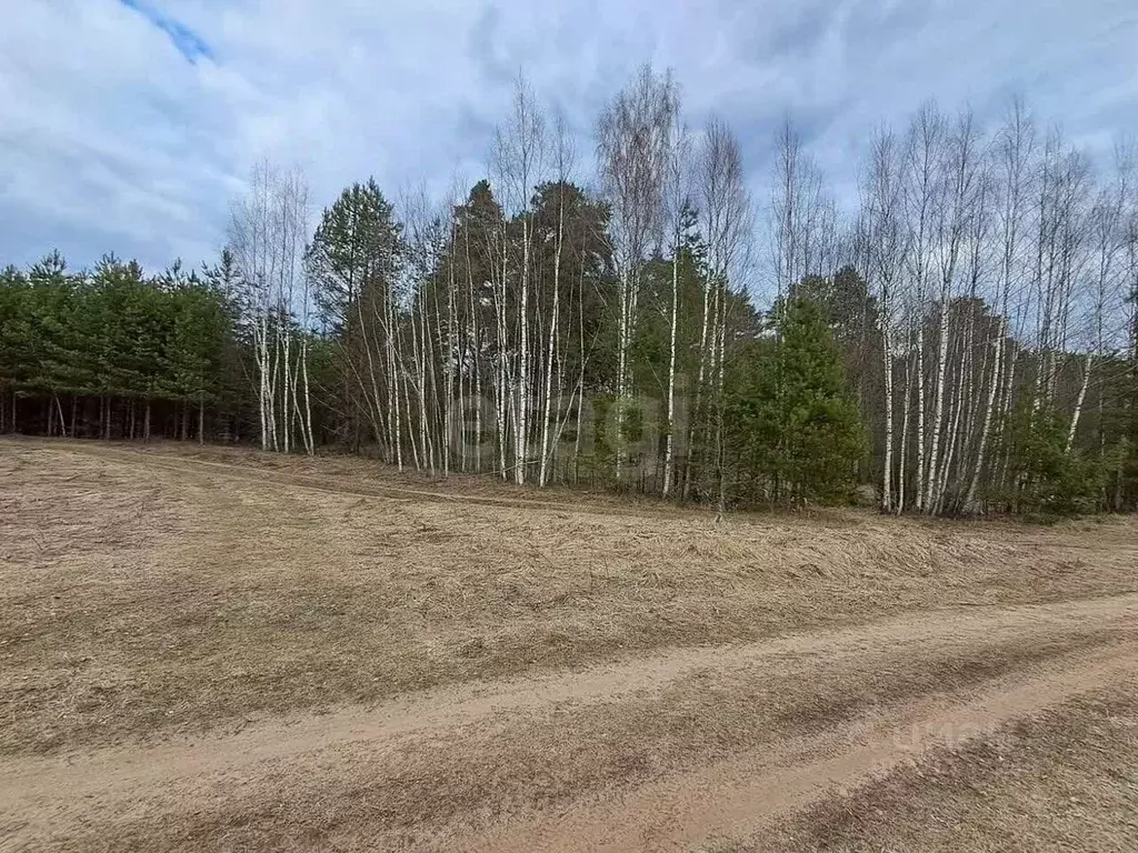 Участок в Тверская область, Кашинский муниципальный округ, д. Малые ... - Фото 1