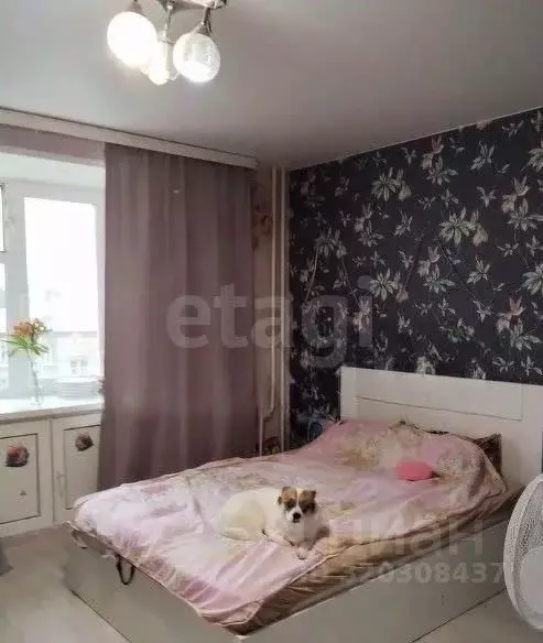 3-к кв. Пермский край, Пермь ул. Вильямса, 24 (68.0 м) - Фото 2