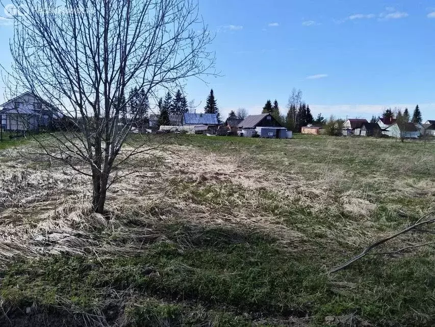 Участок в Лопухинское сельское поселение, деревня Новая Буря (15.4 м) - Фото 1