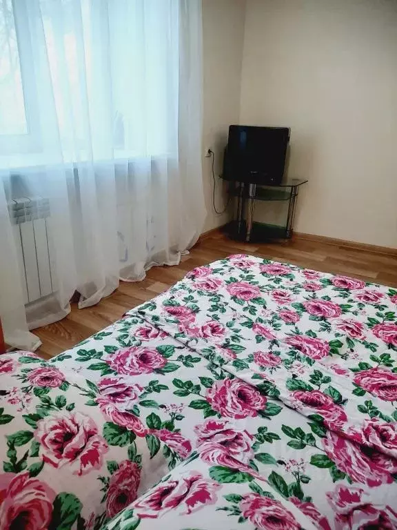 Студия Томская область, Томск Промышленный пер., 9 (17.0 м) - Фото 1