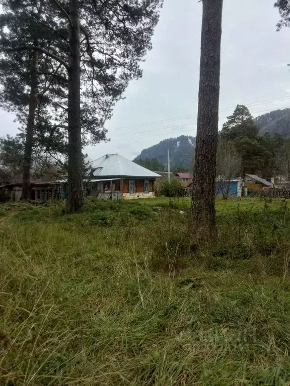 Участок в Алтай, Чемальский район, Узнезинское с/пос, с. Узнезя  (10.7 ... - Фото 2