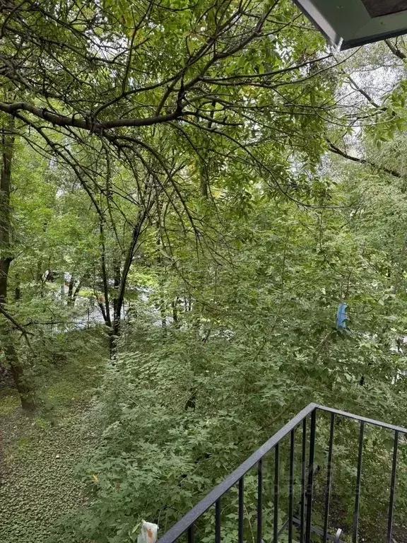 1-к кв. Санкт-Петербург просп. Ветеранов, 46 (32.0 м) - Фото 2