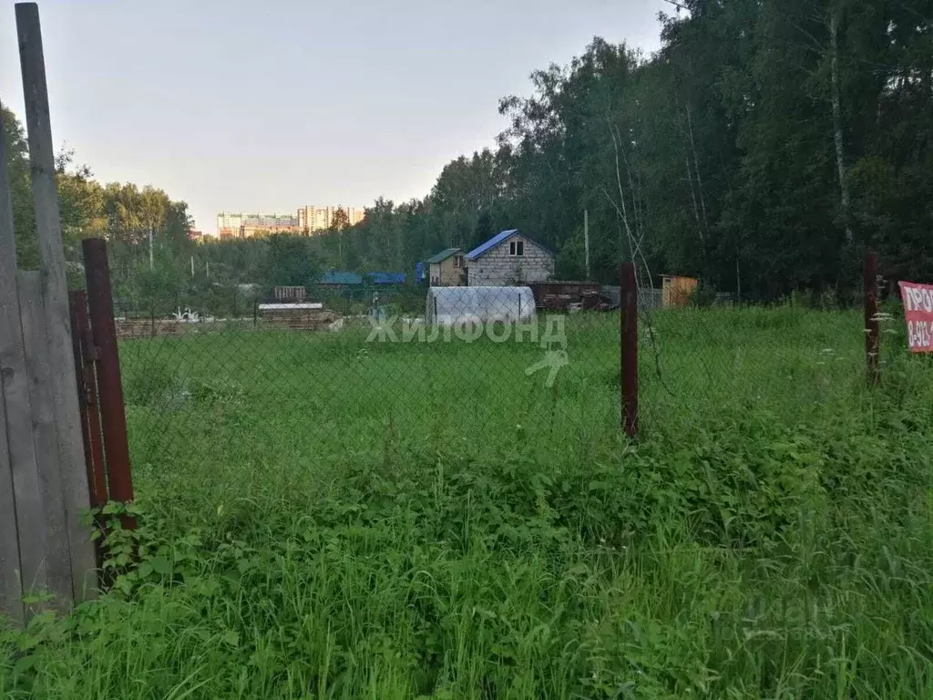 Участок в Новосибирская область, Новосибирск Ветеран СНТ, ул. Логовая ... - Фото 1