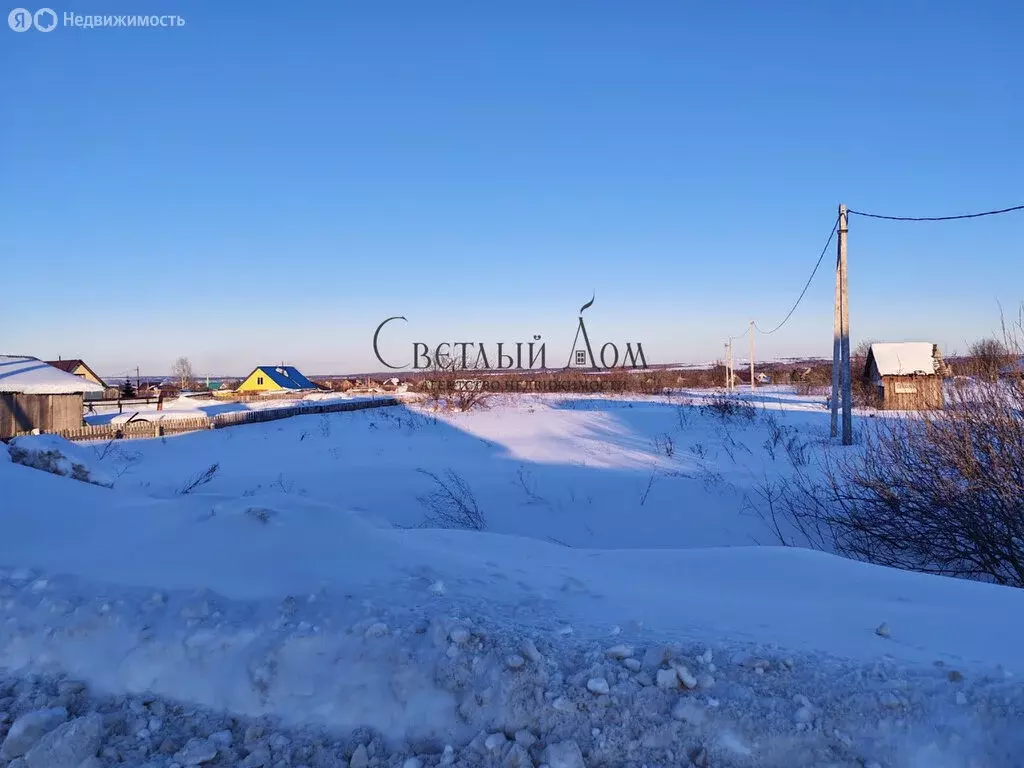 Участок в Чернушка, СНТ РОНО (36 м) - Фото 2