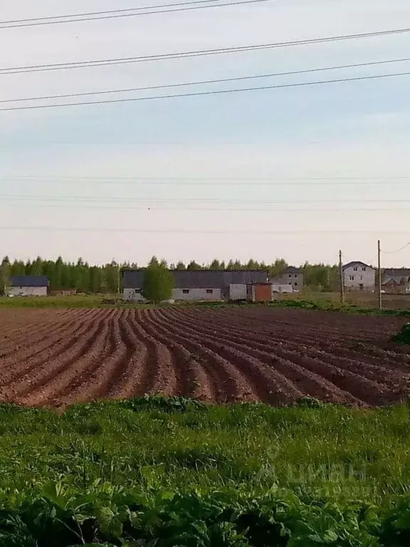 Участок в Новгородская область, Новгородский район, Бронницкое с/пос, ... - Фото 1