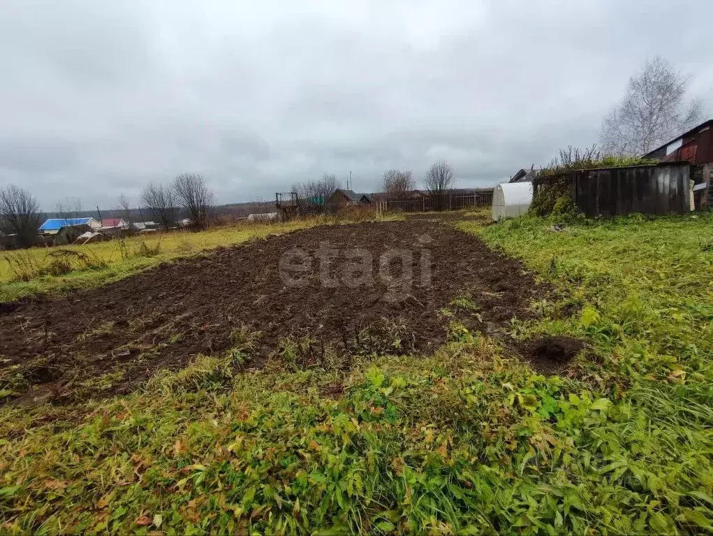 Дом в Пермский край, Чернушинский муниципальный округ, с. Деменево ул. ... - Фото 1