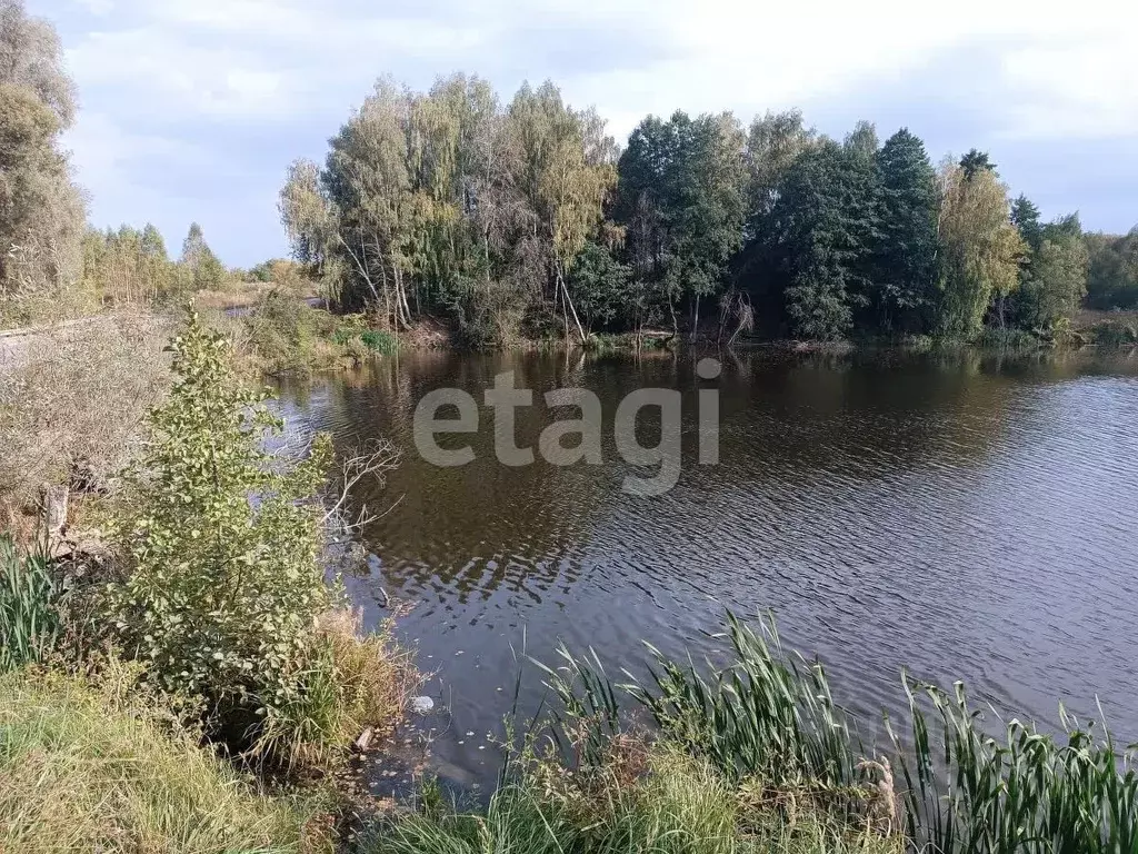 Участок в Брянская область, Сельцо Первомайский мкр,  (878.0 сот.) - Фото 1