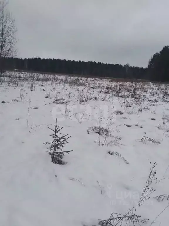 Участок в Кировская область, Слободской район, Ленинское с/пос, д. ... - Фото 2