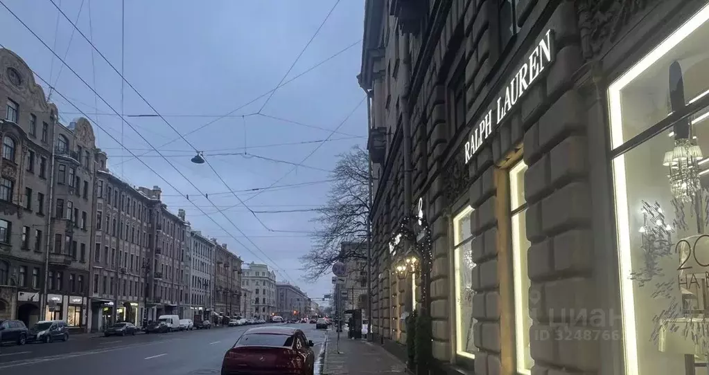 Помещение свободного назначения в Санкт-Петербург Суворовский просп., ... - Фото 2