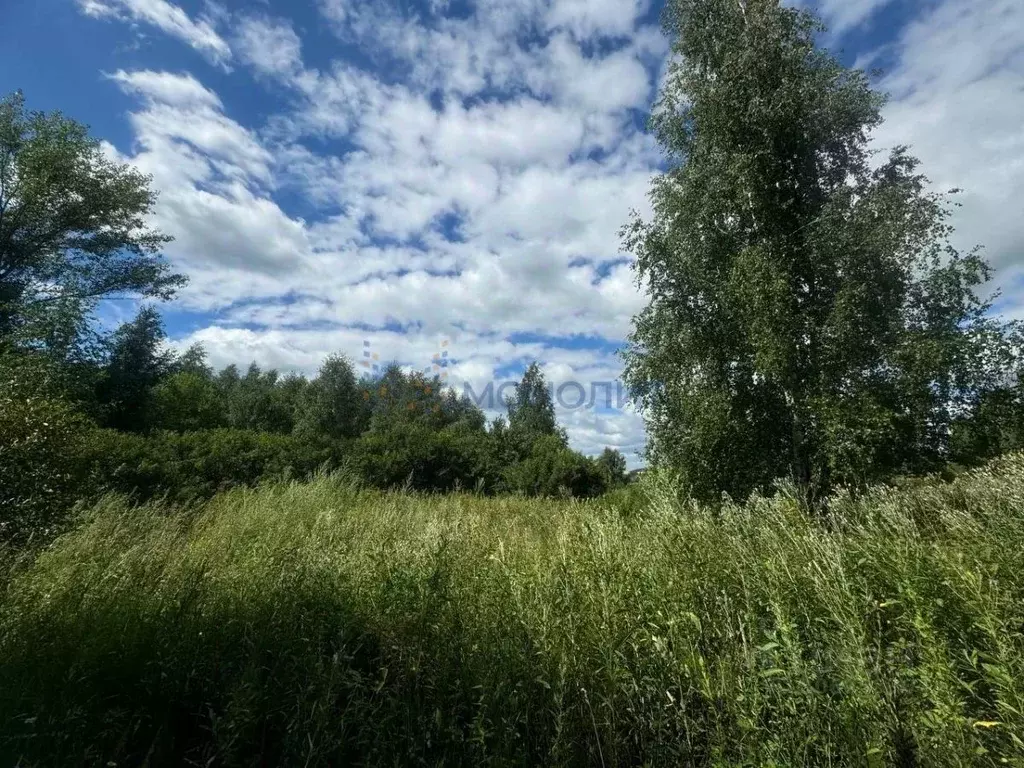 Участок в Нижегородская область, Кстовский муниципальный округ, с. ... - Фото 1