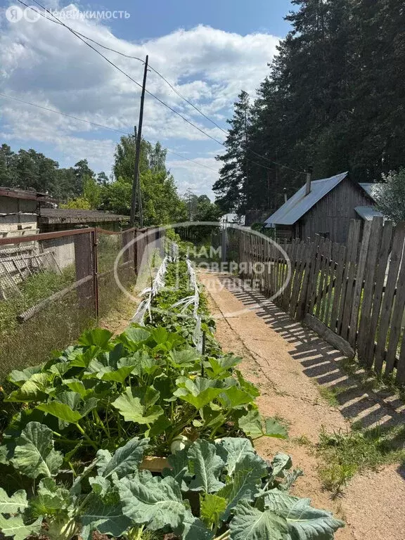 2-комнатная квартира: Чайковский, улица Декабристов, 25/3 (48.6 м) - Фото 1