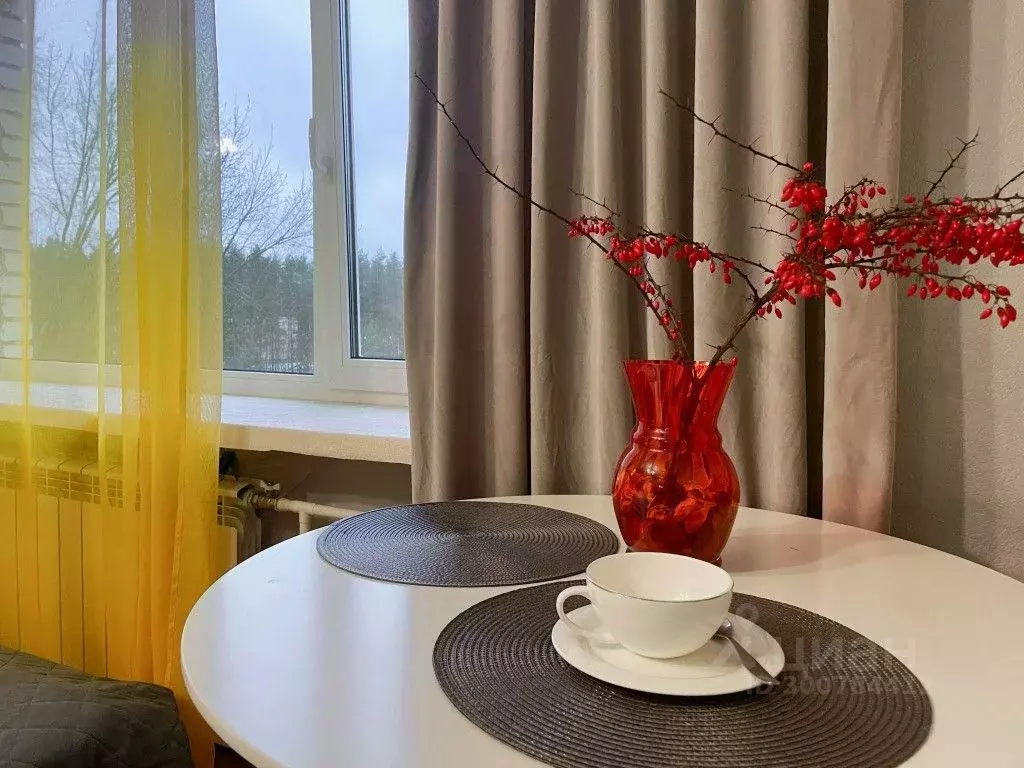 1-к кв. Ленинградская область, Сосновый Бор Солнечная ул., 23 (18.0 м) - Фото 1