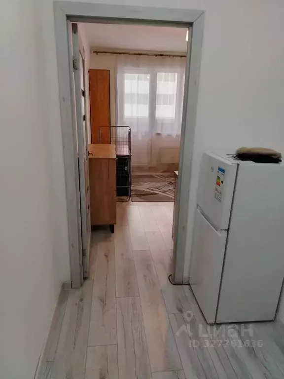 Студия Бурятия, Улан-Удэ ул. Бабушкина, 1к1 (23.0 м) - Фото 2