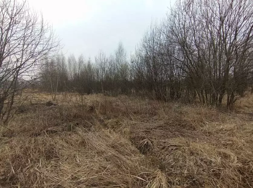 Участок в Московская область, Коломна городской округ, с. Никульское  ... - Фото 0