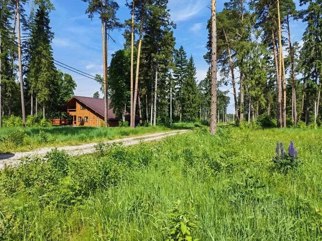 Участок в Московская область, Черноголовка городской округ, с. ... - Фото 2