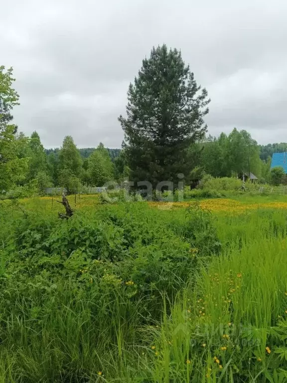 Участок в Кемеровская область, Междуреченск Дачная ул. (11.5 сот.) - Фото 0