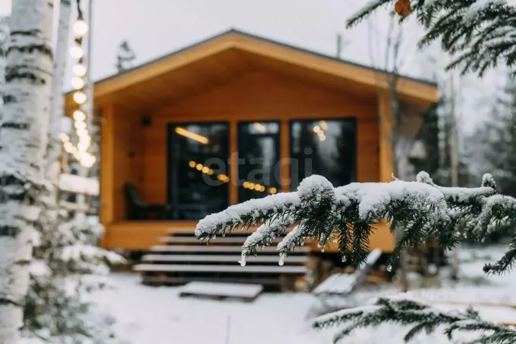Дом в Свердловская область, Ревда муниципальный округ, с. Мариинск ул. ... - Фото 2