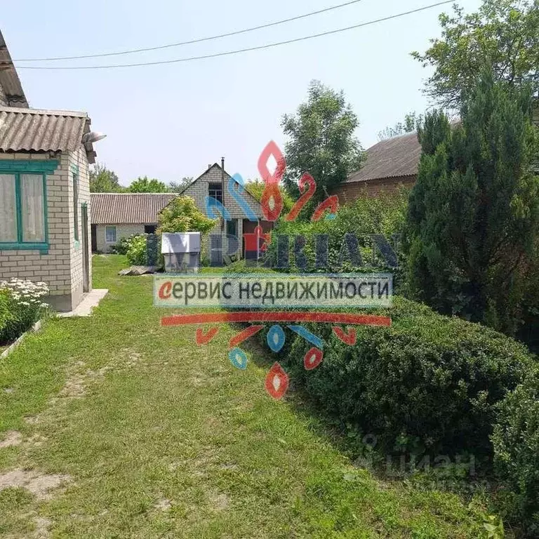 Дом в Белгородская область, Шебекинский муниципальный округ, с. Купино ... - Фото 1