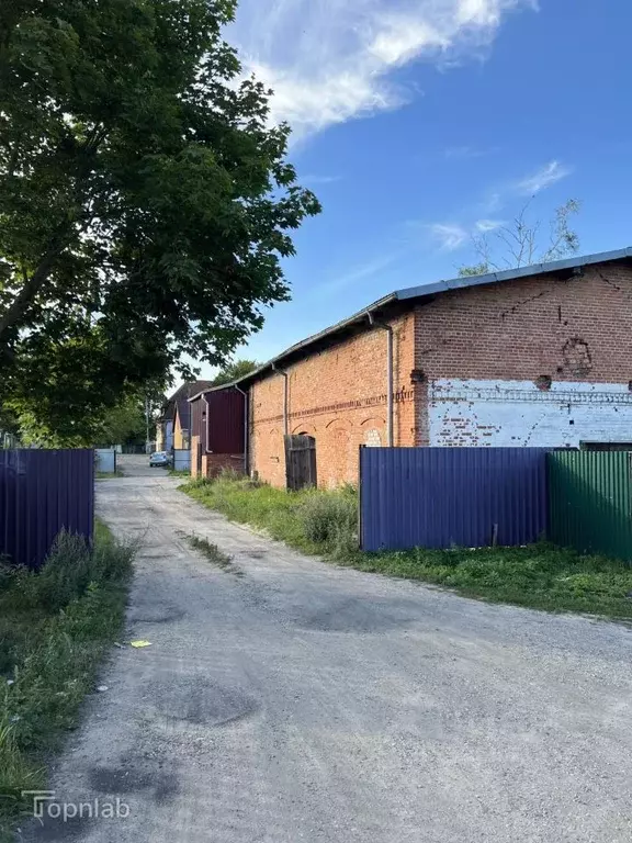 Помещение свободного назначения в Калининградская область, ... - Фото 2