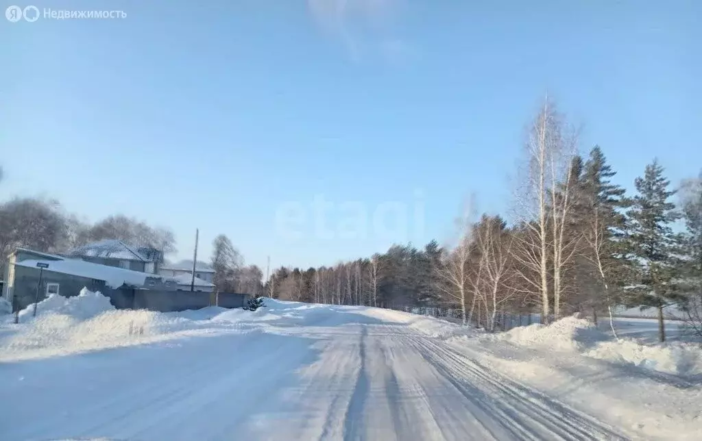 Участок в Новосибирский район, Верх-Тулинский сельсовет, садовое ... - Фото 2