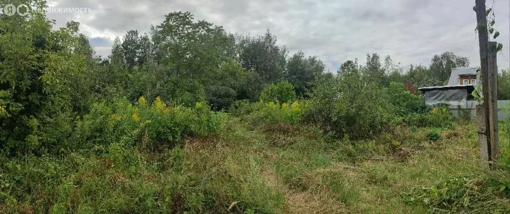 Участок в Бор, СНТ Волжские Зори, 115 (7 м) - Фото 0